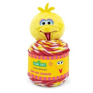 Sesame Street™ One Hat Wonder Yarn Big Bird!